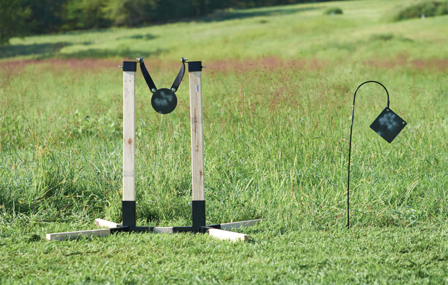 Buy .22 Auto Reset Target Multi and More Champion Target