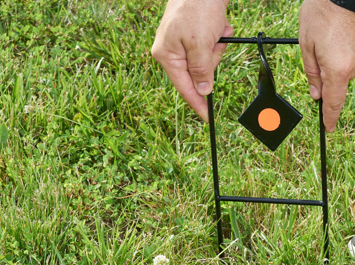 Champion Steel Target