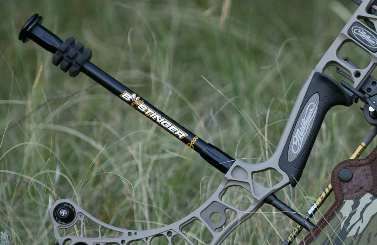Bee Stinger Arrow