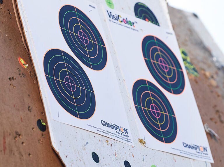 Champion VisiColor Targets mounted on wall