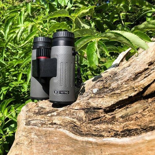 bushnell nitro binoculars