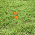 Duraseal® Spinner Target