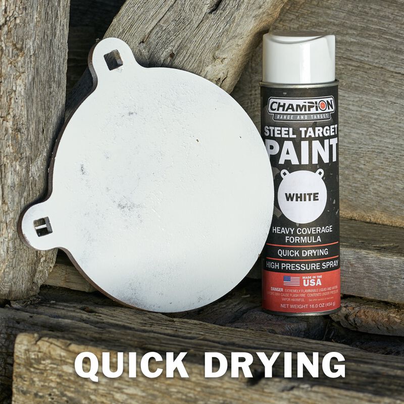 Steel Target Spray Paint AR500 Steel Targets Champion Target