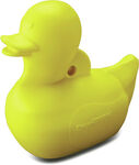 Duraseal® Carnival Duck Challenge Target