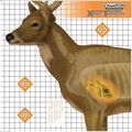 Xray® Targets