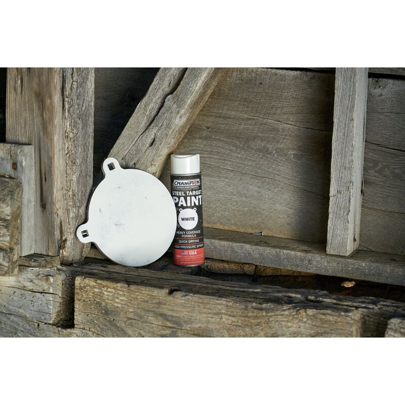 White Steel Target Spray Paint
