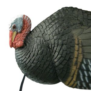Killer B Turkey Decoy