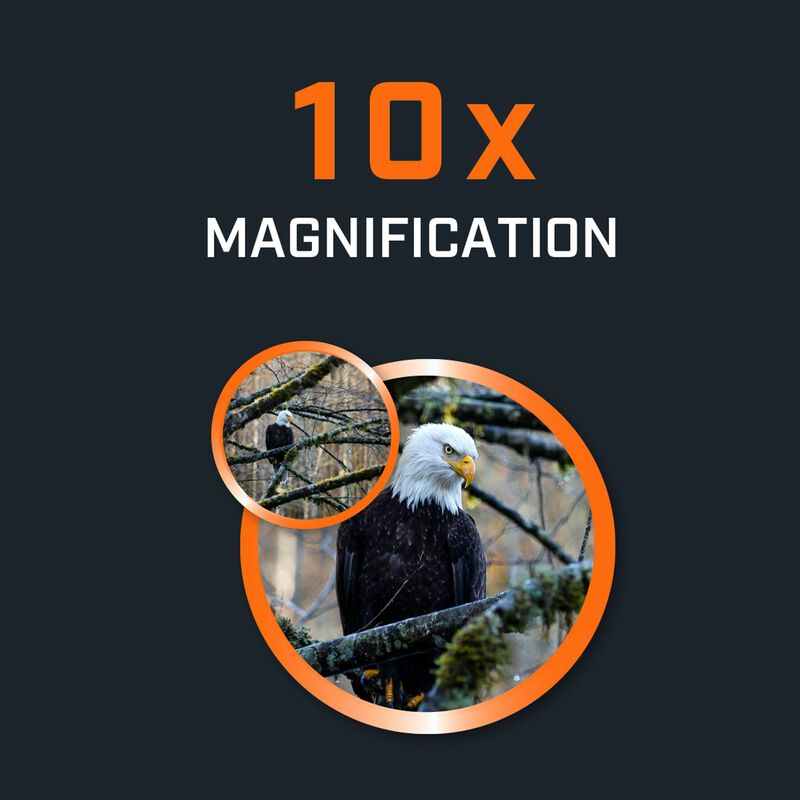 H2O 10x42 Waterproof Binoculars