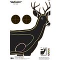 Visicolor Targets
